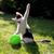 Michael Carlson's profile image