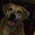 Jean Launstein's profile image