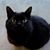 Amy Lynn's profile image