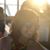 Anita Ayres's profile image