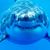 William M. Hess's profile image