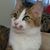 Kristie Chance - Sharpe's profile image