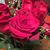Jill Leese's profile image