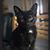 Lora Wentzel's profile image