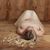 Karen Bertran Sosa's profile image