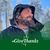 Paul Cheesman's profile image