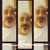 David Morales's profile image