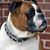 Robert Broughton's profile image