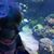 Robyn Brunk ONeal's profile image