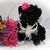 Dianne Kelley's profile image