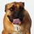 Julie Beacham's profile image