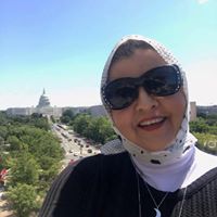 Ola Hafez Kamel's profile image