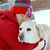 Amy Leone Richardson's profile image
