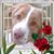 Kim Moore's profile image