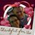 Erin Hoover's profile image