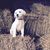 Teri George's profile image