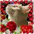 Patty Fonzi's profile image