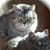 David Bondzio's profile image