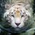 Linda L Muir's profile image
