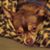 Terri Krac's profile image