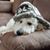 Sue Venette-Payne's profile image