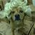 Sheryl Bauknecht's profile image