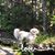 Gina Marie Conover's profile image