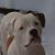 Janet Marie Comodeca's profile image