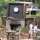 Kc A.'s profile image