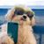 Jordan Hansen's profile image