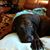 Sandy Merritt Philhower's profile image