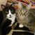 Kimberly Princivalli's profile image