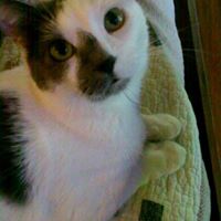 Sandra Morrison's profile image