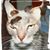 Susan Clark Ponce's profile image