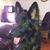 Timothy Whitt's profile image