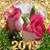 Assia Abd's profile image