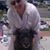 Judy Kruger-Manriquez Biscailuz's profile image