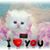 Carol Lamarche's profile image
