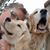 Beth Fleishaker's profile image