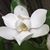 Paula Casey Kaintz's profile image