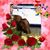 Amy Keller-Smith's profile image