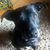 Thomas Joseph Ross's profile image