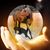 Cherise Manno's profile image