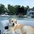 Angela Perry Gratzinger's profile image