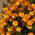 Margie Thesing's profile image