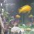 Rich Hertter's profile image
