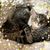 Carmen Ford-Treacy's profile image