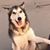 Judi Lynn Paredes's profile image
