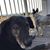 Dale Lynn Silas's profile image
