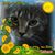 Carla Boutote's profile image